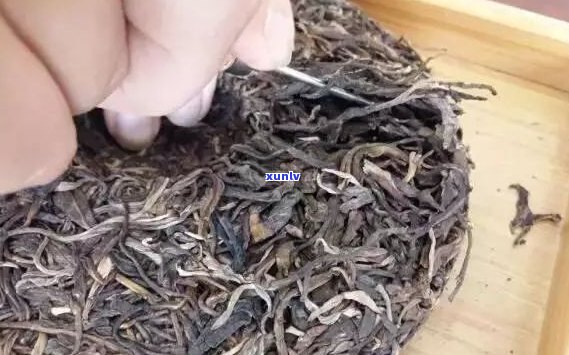 喝普洱茶淋巴结肿大