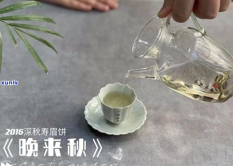 普洱茶煮水喝可以吗