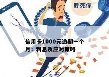 新农行信用卡逾期1000多元，可能面临哪些后果及解决办法？