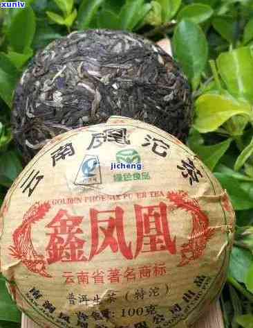 凤凰牌普洱茶：品质、产地、功效与泡法的全面解答