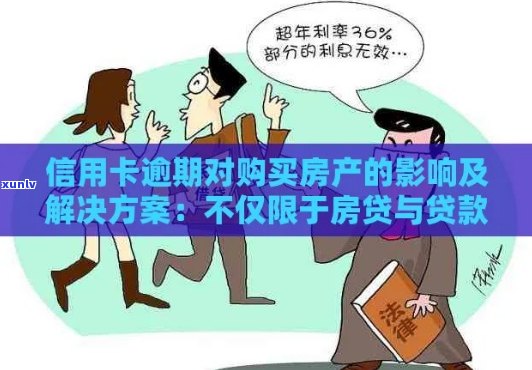 信用卡逾期不影响贷款购房资格，关键策略助您实现房产梦想