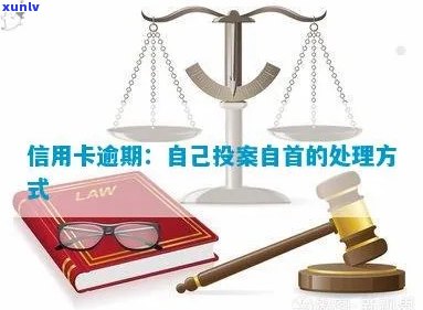 邮件收到信用卡逾期自首怎么办-邮件收到信用卡逾期自首怎么办呢