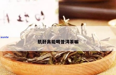 肌酐高患者饮茶指南：了解茶叶成分与降肌酐的关系