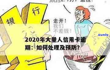 2020信用卡逾期大潮：原因、影响与解决方案全方位解析