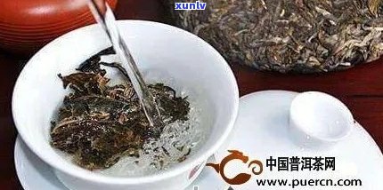 普洱茶品鉴：泡饮次数及其科学原理探究