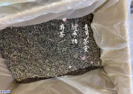 普洱茶能否使用塑料袋存？塑料袋是否会影响其安全性和保存时间？