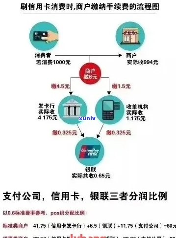 如何计算信用卡还款金额？了解还款周期和费率等关键因素，轻松掌握还款详情