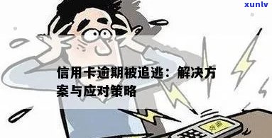 信用卡逾期成为诈骗犯：应对策略与解决 *** 