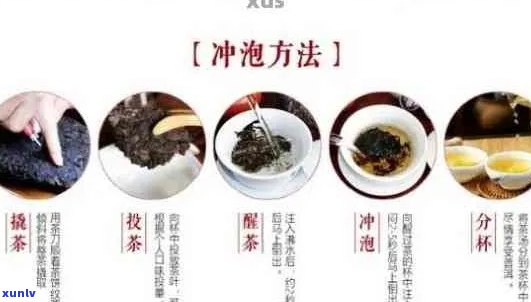 掌握普洱茶的科学冲泡 *** ：有效减肥与口感并重的新途径