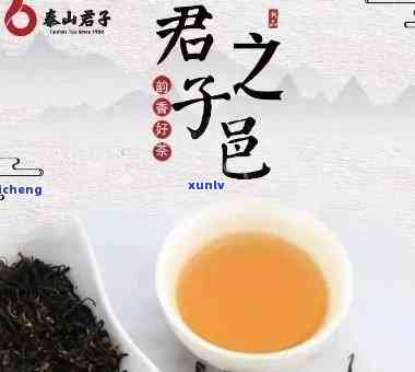 君子茗茶：精选茶叶、价格透明，让您品味优雅生活