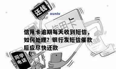 银行信用卡逾期短信后如何及时还款？完整攻略及注意事项一览