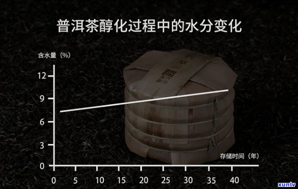 水泥罐存普洱茶的可行性及其对普洱茶品质的影响：全面分析与探讨