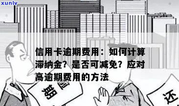 信用卡逾期费用及其解决策略：理解滞纳金和影响因素