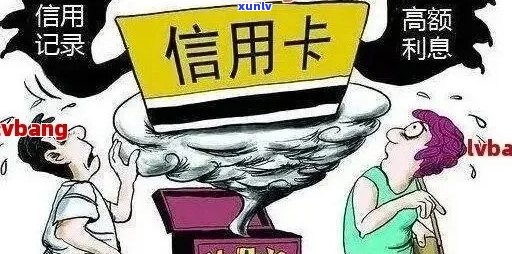 普洱生普与发酵茶：真相揭秘与对比分析