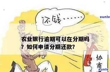 农行信用卡逾期后如何办理分期还款？详细流程解析