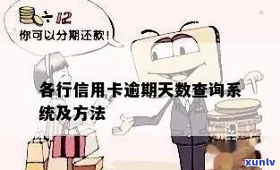 怎么查信用卡逾期天数记录