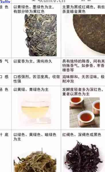 全面解析普洱茶：如何区分生茶与熟茶的品质与特点？