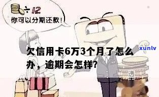 信用卡逾期6万咋办