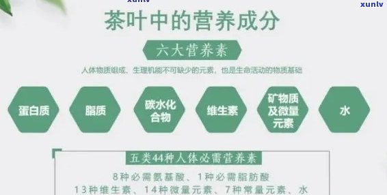 普洱茶中的维生素含量及其对健的益处：一篇全面的分析