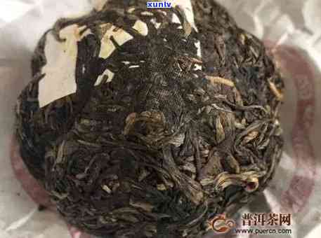 新 探究普洱茶表面雾气现象：是香气散发还是茶质问题？