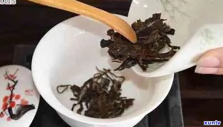 普洱茶泡法：弄碎后泡更香吗？需要晒吗？还要洗吗？