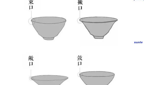 普洱茶杯型选择指南：全面了解适合喝普洱茶的不同杯型