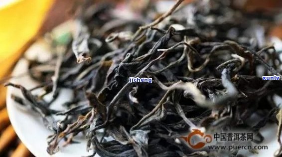 新 古树普洱生茶纯料精选，优质品质与独特风味价格解析