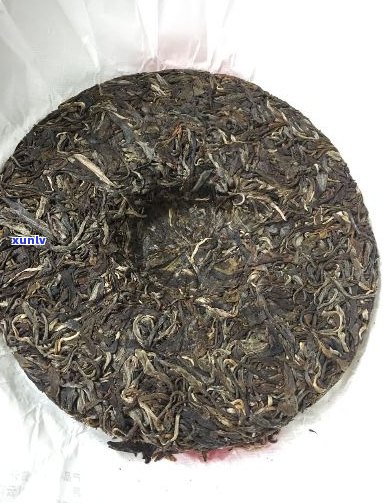 古树纯料茶山普洱茶