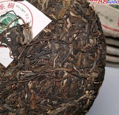 春明茶厂2004年金奖 千年古树茶与野生茶，旗舰店精选