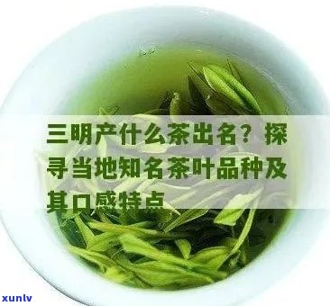 三万茶叶中最出名的是哪种茶？