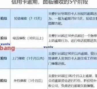 信用卡逾期未被多扣利息？如何避免逾期产生的额外费用及解决方案