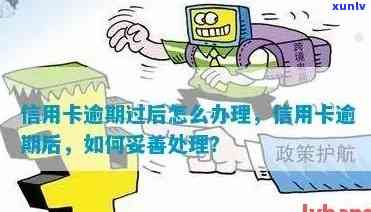 信用卡逾期后，可能会收到什么类型的快递？如何处理这些快递？