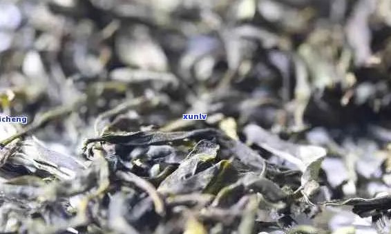 普洱茶茶饼价格表：全方位解析各类普洱茶饼的价格区间及品鉴指南