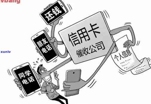 信用卡逾期未还款，查询卡号无果怎么办？