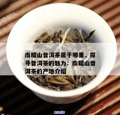 曼糯山普洱茶属于哪里产的？