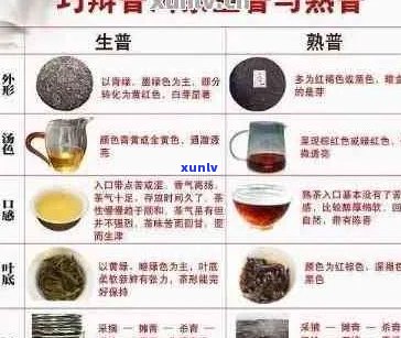 普洱茶排名指南：全面了解各大茶叶品种的优劣与市场价值