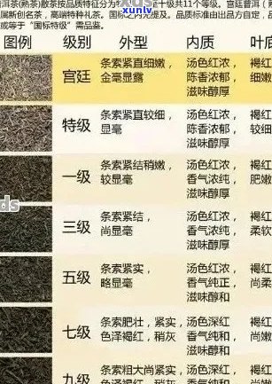 普洱茶最新排名：权威指南，深入剖析各大茶品优劣势