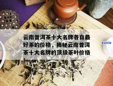 普洱茶十大名牌排名：全面了解顶级普洱茶，助您轻松挑选适合的茶叶