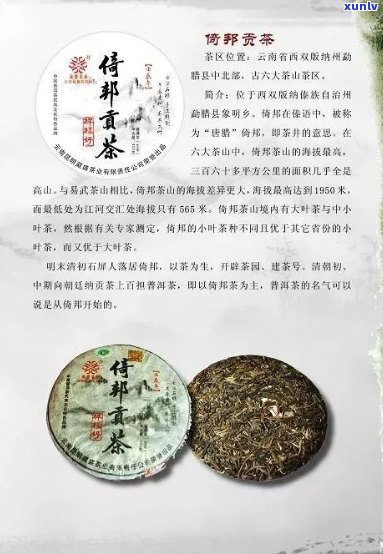 云南春茗禾美普洱茶：品种、产地、 *** 工艺、口感特点及品饮 *** 全方位解析