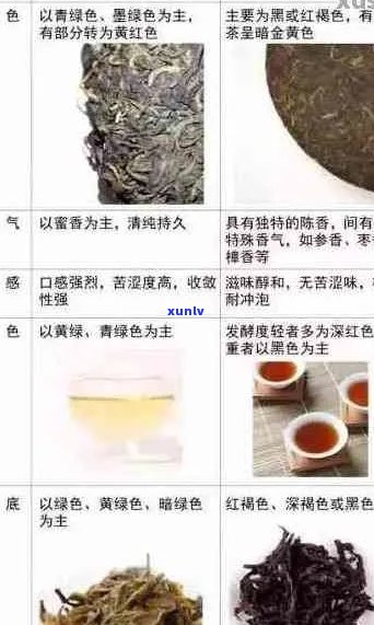 云南春茗禾美普洱茶：品种、产地、 *** 工艺、口感特点及品饮 *** 全方位解析