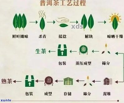 普洱茶熟普 *** 工艺的种类、特点、品种及流程