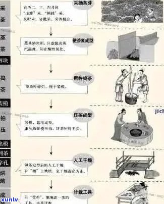 普洱熟茶制茶工艺的厂家、流程和要点：探究普洱熟茶的独特 *** 工艺。