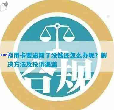 信用卡逾期处理全攻略：如何有效投诉并追回欠款