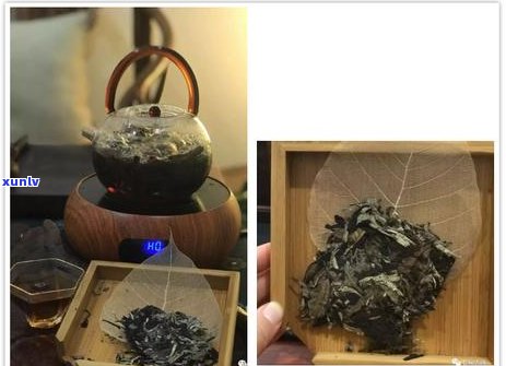 普洱茶炒制出来的属于什么茶？为什么普洱茶炒制出来偏黄？