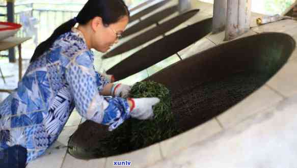 探究普洱茶炒茶香气不足的深层原因： *** 工艺、仓环境还是茶叶品质？