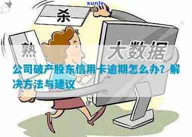 信用卡逾期：公司股东是否应承担责任？