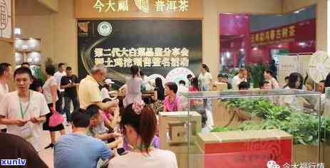 大福普洱茶全方位解析：从产地、种类到品饮技巧，一文搞定！