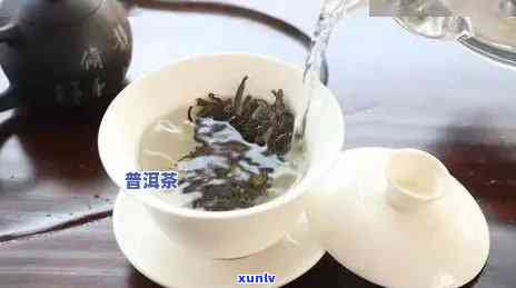 多少度泡普洱茶喝：水及泡茶技巧详解