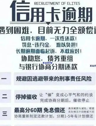 布朗王普洱茶357克：详细介绍、价格及购买渠道，解答用户所有疑问