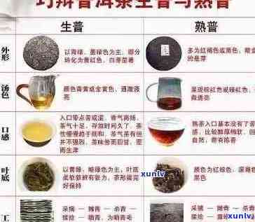 普洱茶与阿韵茶品口感对比：哪个更适合你的口味？